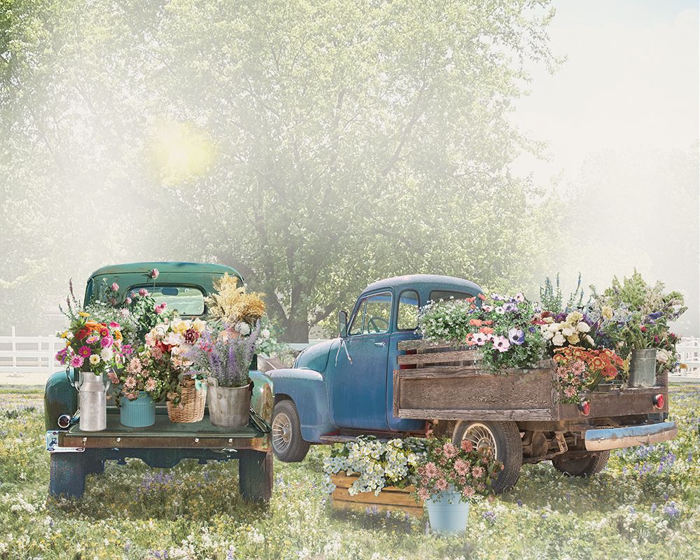 Flower Trucks Ready for Market art print by Nan for $57.95 CAD