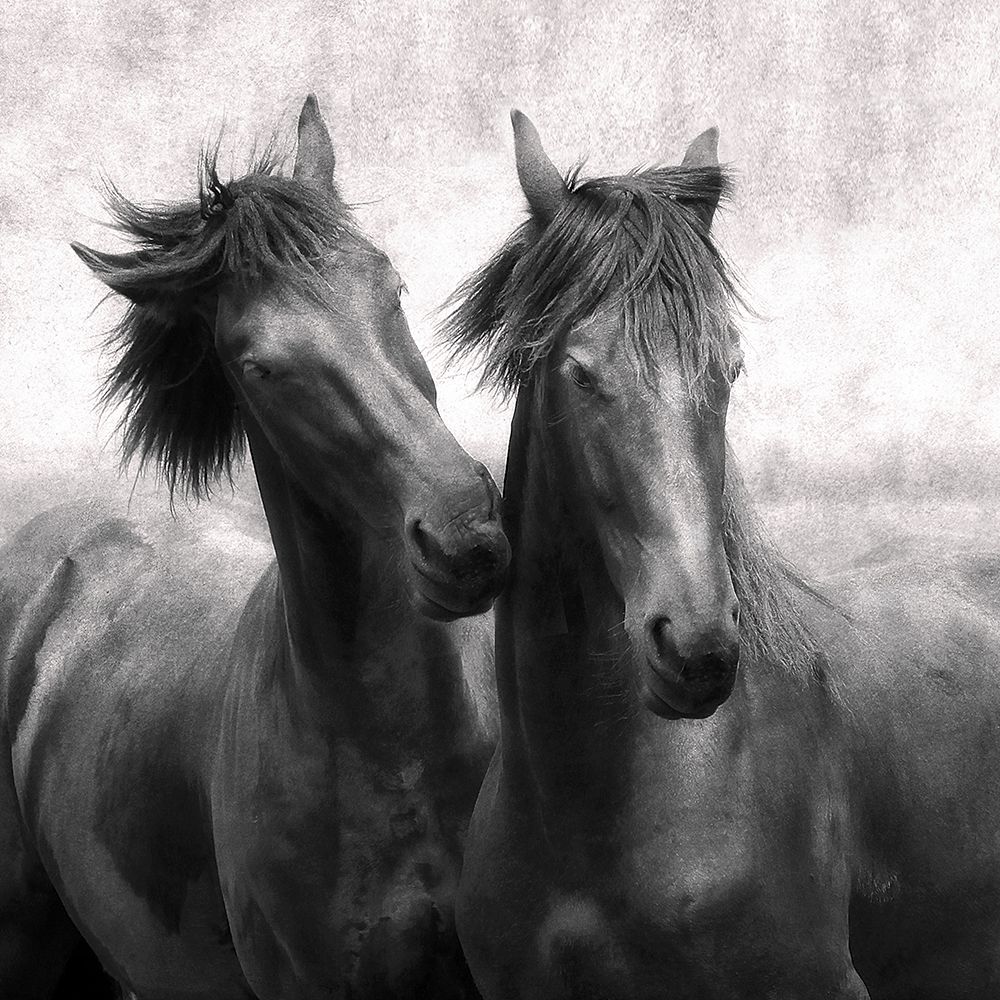 Whisper art print by Lars Van de Goor for $57.95 CAD