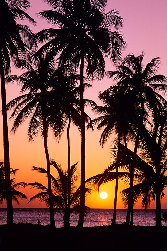 Sunset on Martinique art print by Danita Delimont for $57.95 CAD