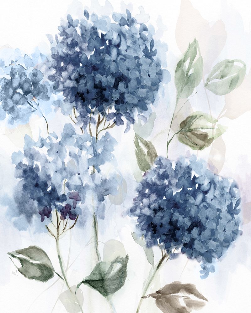 Hydrangea Breeze I art print by Nan for $57.95 CAD