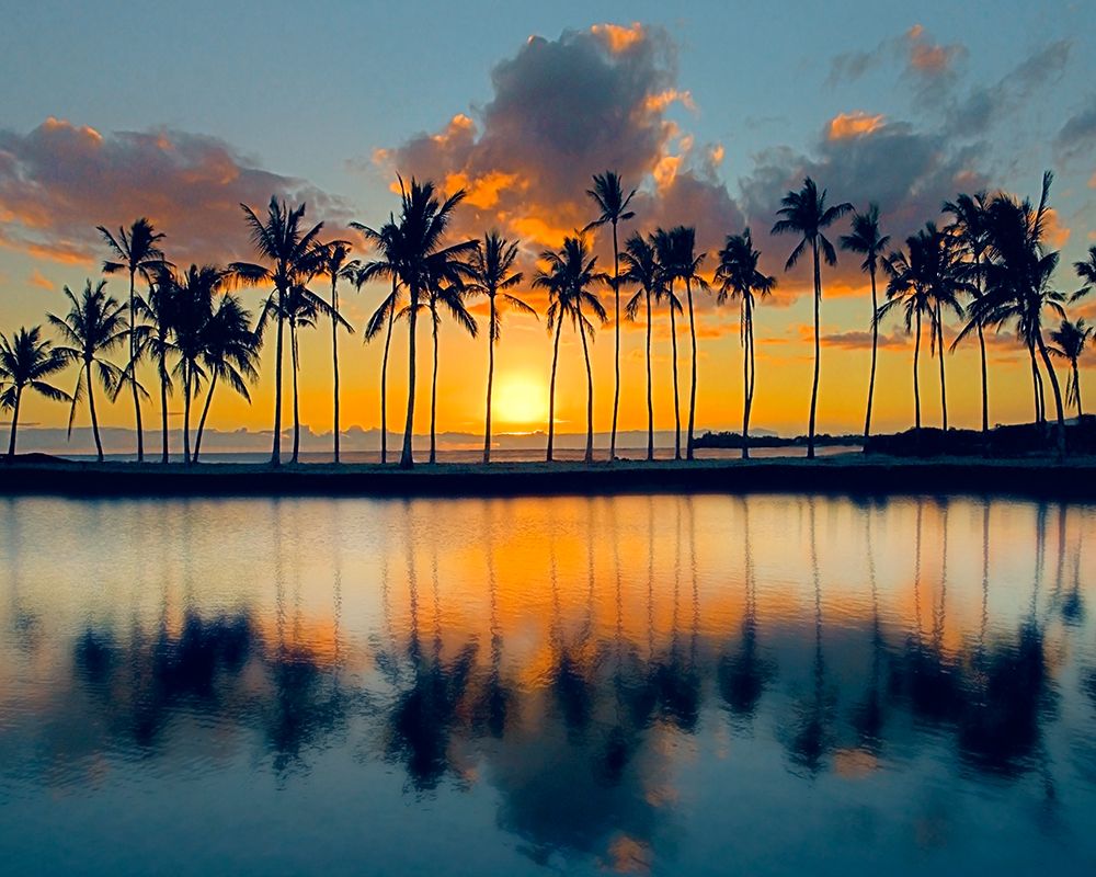 Big Island Sunset art print by Danita Delimont for $57.95 CAD