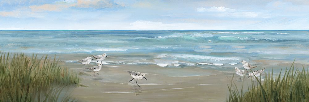 Sandpiper View art print by Nan for $57.95 CAD