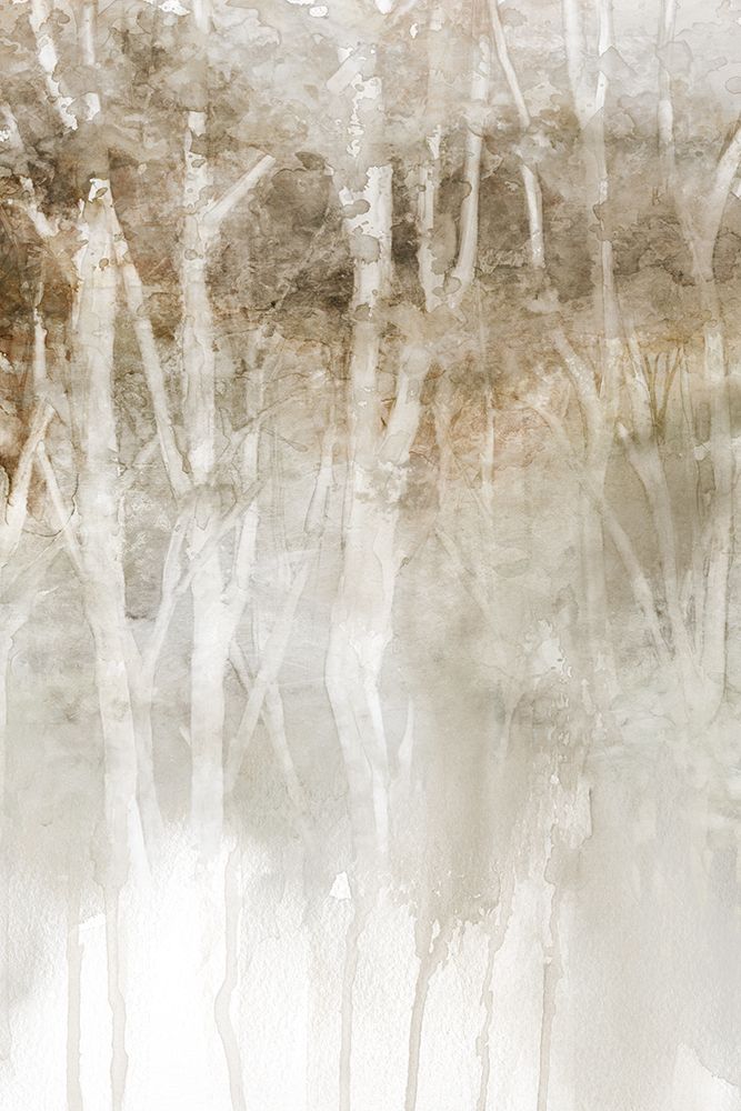 Rainy Forest Birch art print by Carol Robinson for $57.95 CAD