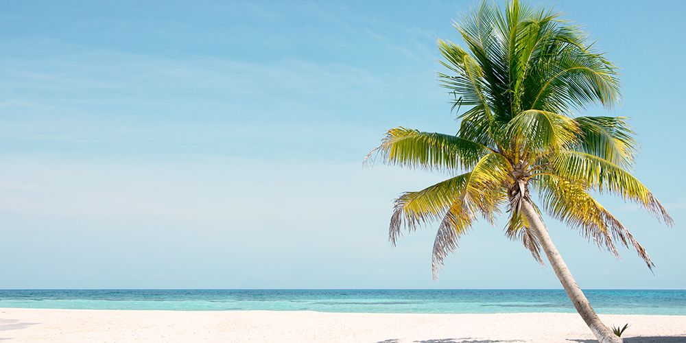 Goff Caye art print by Danita Delimont for $57.95 CAD