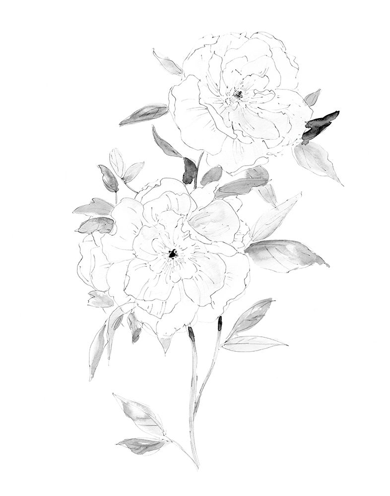 Sketchy Rose II art print by Carol Robinson for $57.95 CAD