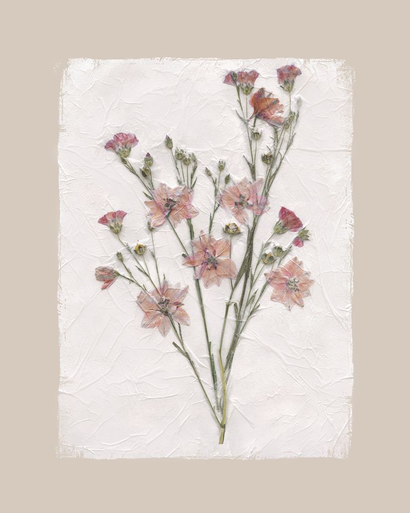 Floral Decoupage I art print by Carol Robinson for $57.95 CAD