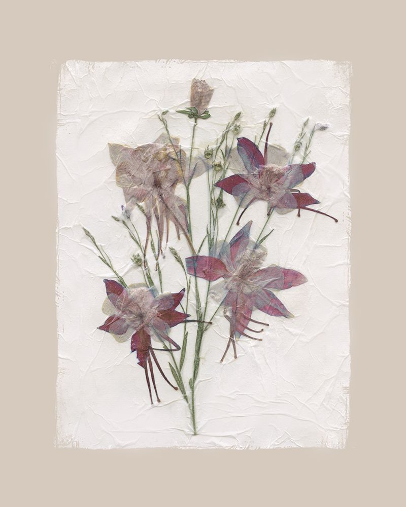 Floral Decoupage II art print by Carol Robinson for $57.95 CAD