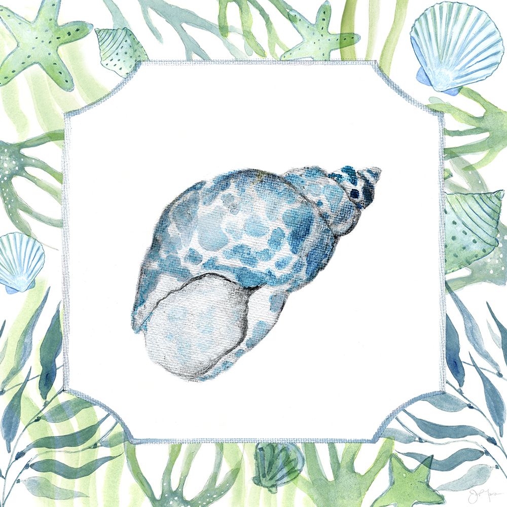 Coastal Shell I art print by Tava Studios for $57.95 CAD
