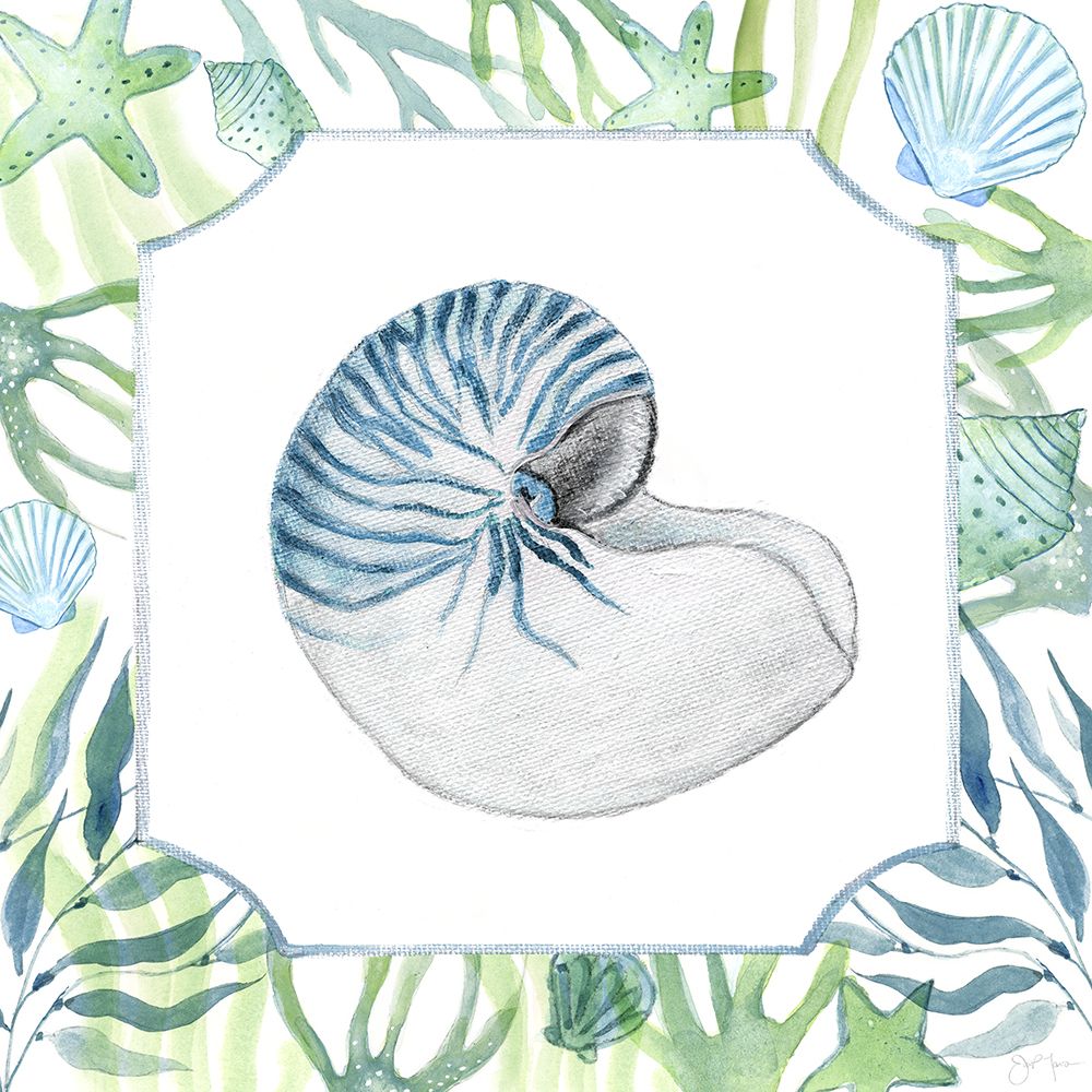 Coastal Shell II art print by Tava Studios for $57.95 CAD