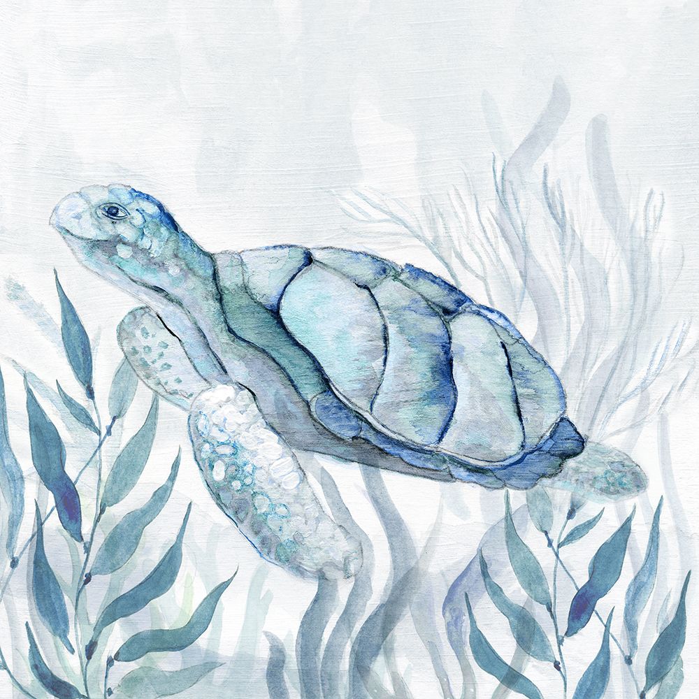 Sea Turtle II art print by Tava Studios for $57.95 CAD