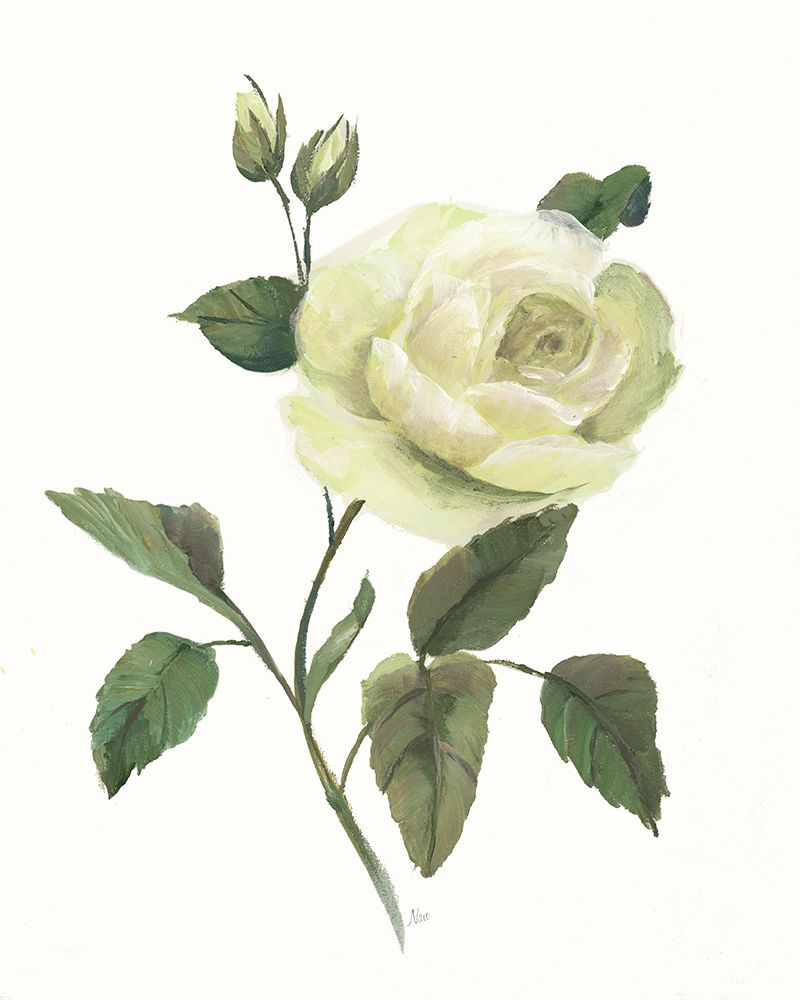 Yellow Rose I art print by Nan for $57.95 CAD