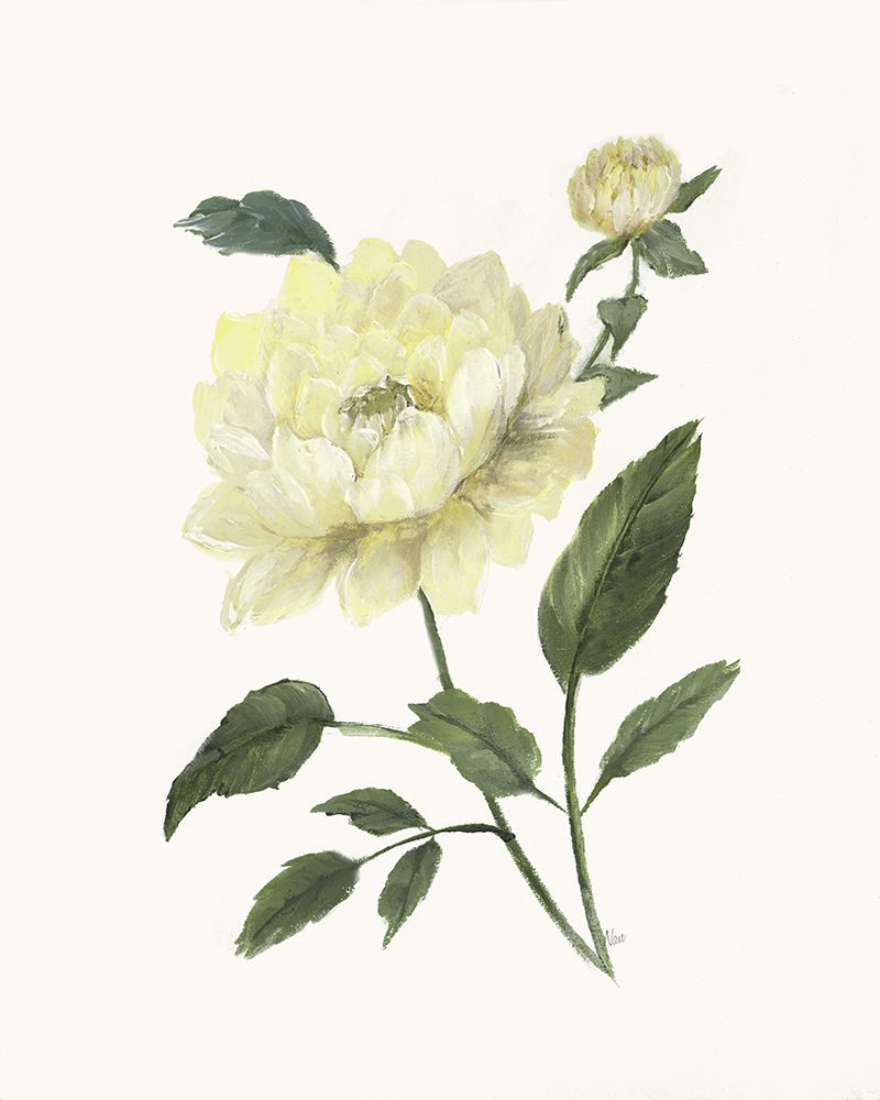 Yellow Rose II art print by Nan for $57.95 CAD