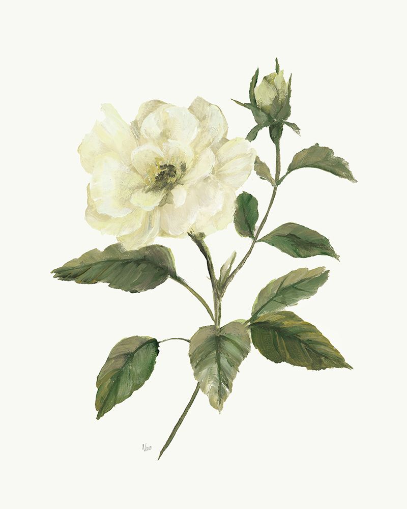 Yellow Rose III art print by Nan for $57.95 CAD