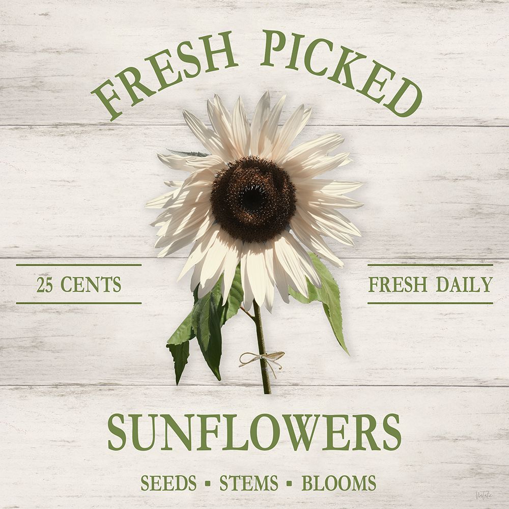 Fresh Sunflowers art print by Natalie Carpentieri for $57.95 CAD