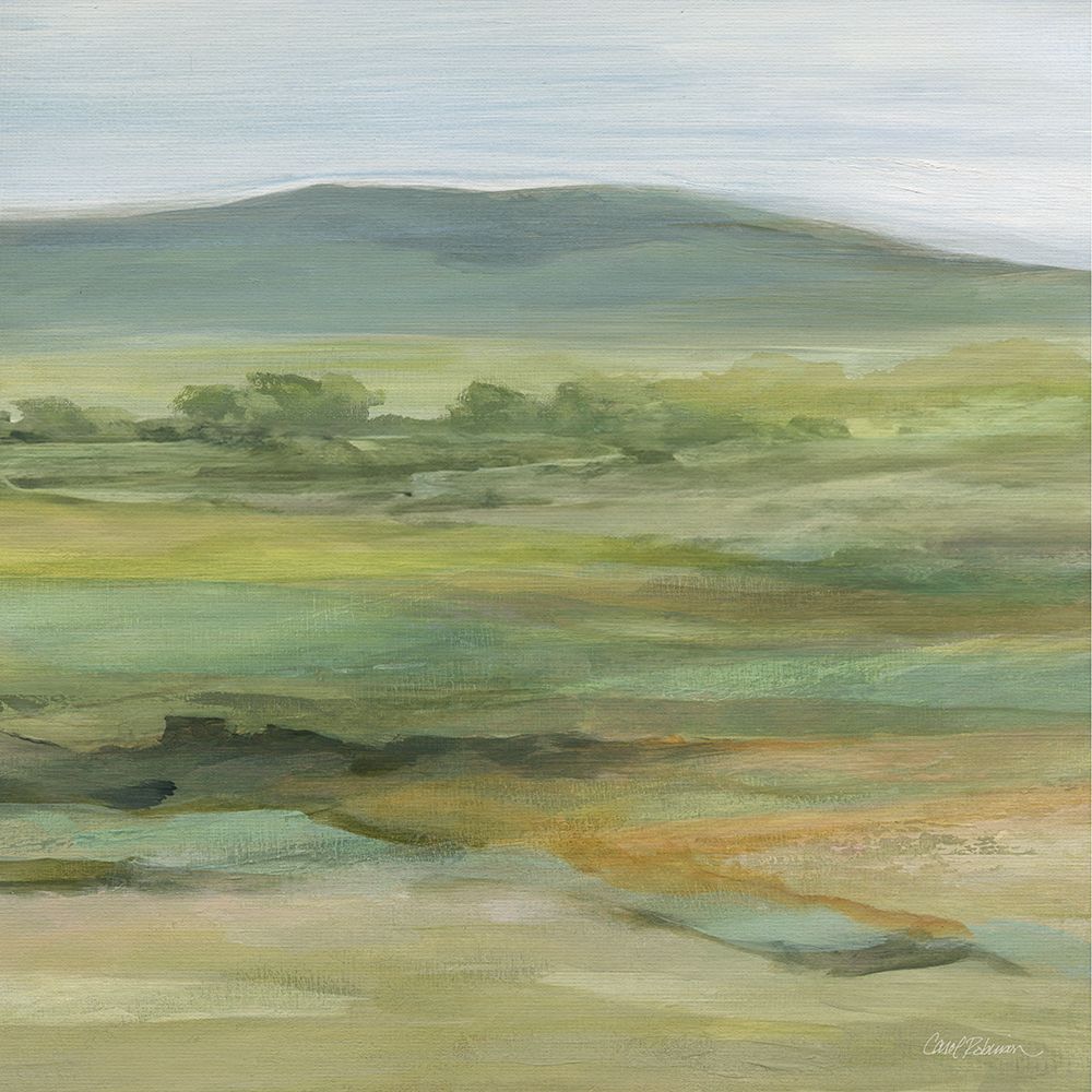 Vast Expanse I art print by Carol Robinson for $57.95 CAD