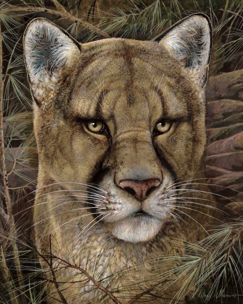Elusive Encounter art print by Ruane Manning for $57.95 CAD