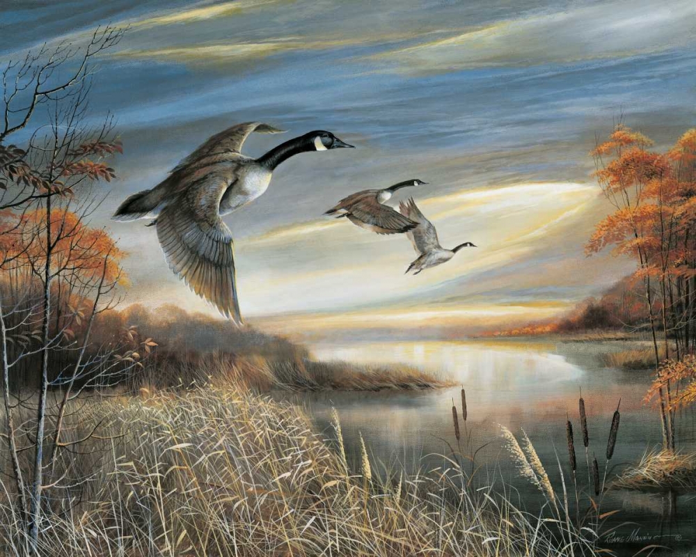Migration South art print by Ruane Manning for $57.95 CAD