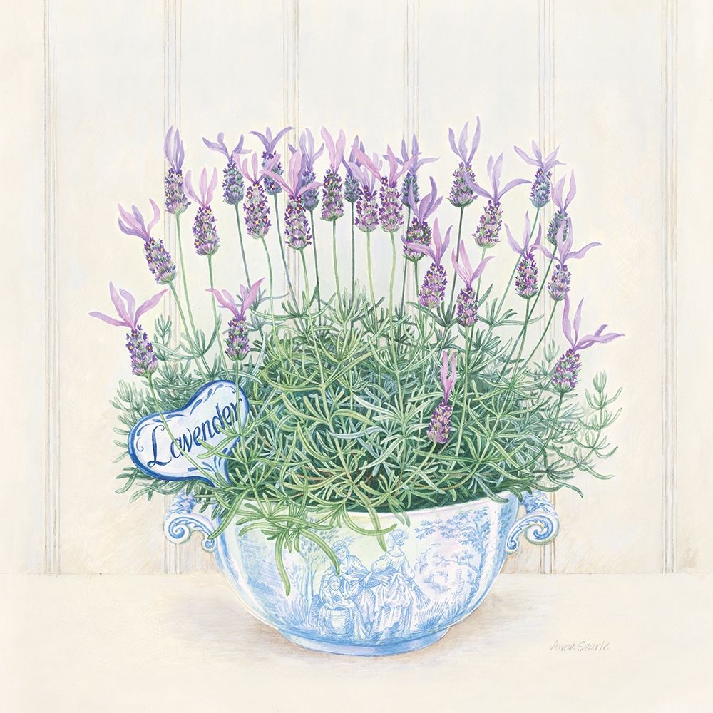 Lavender art print by Anne Searle for $57.95 CAD