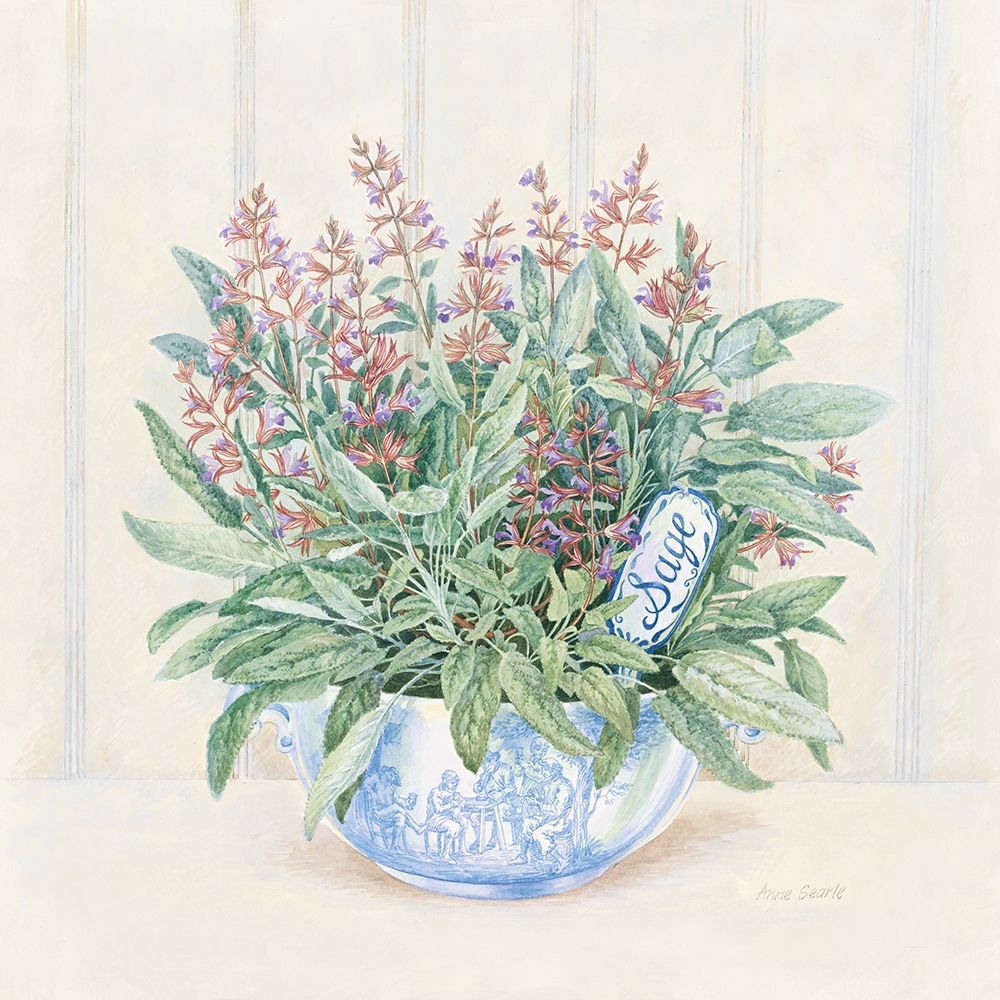Sage art print by Anne Searle for $57.95 CAD