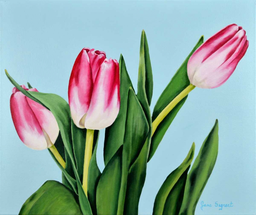 Spring Tulips art print by Jane Segrest for $57.95 CAD