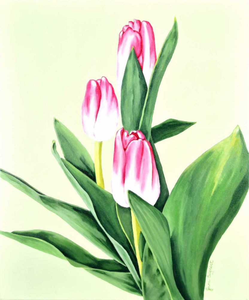 Three Tulips art print by Jane Segrest for $57.95 CAD