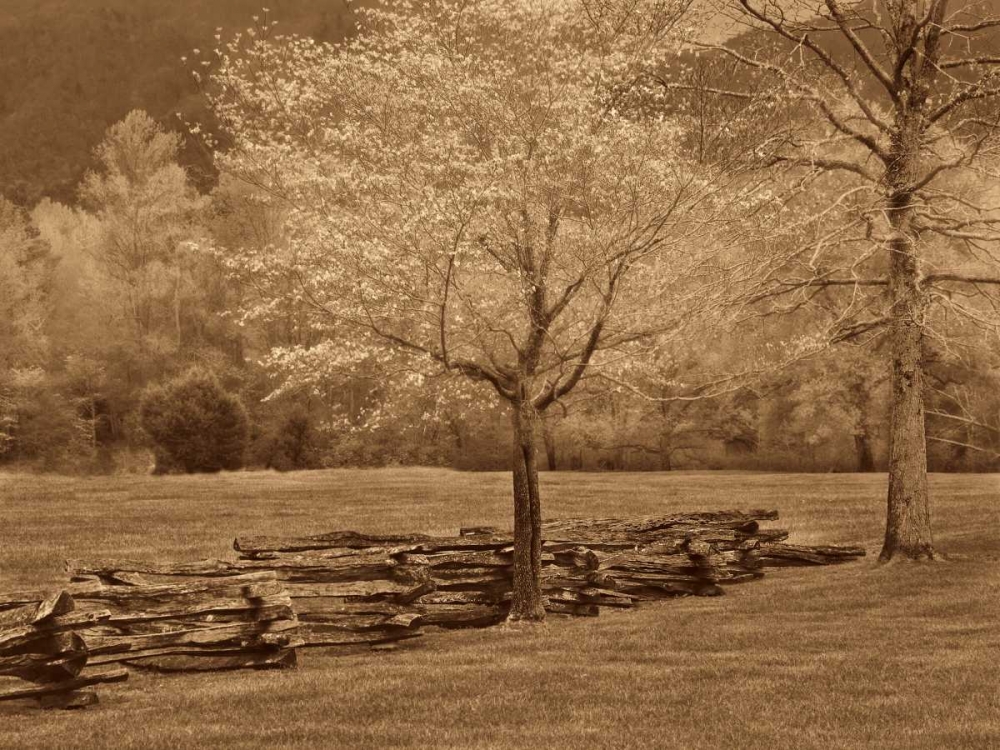 Smokies Fence art print by Wendy Caro for $57.95 CAD