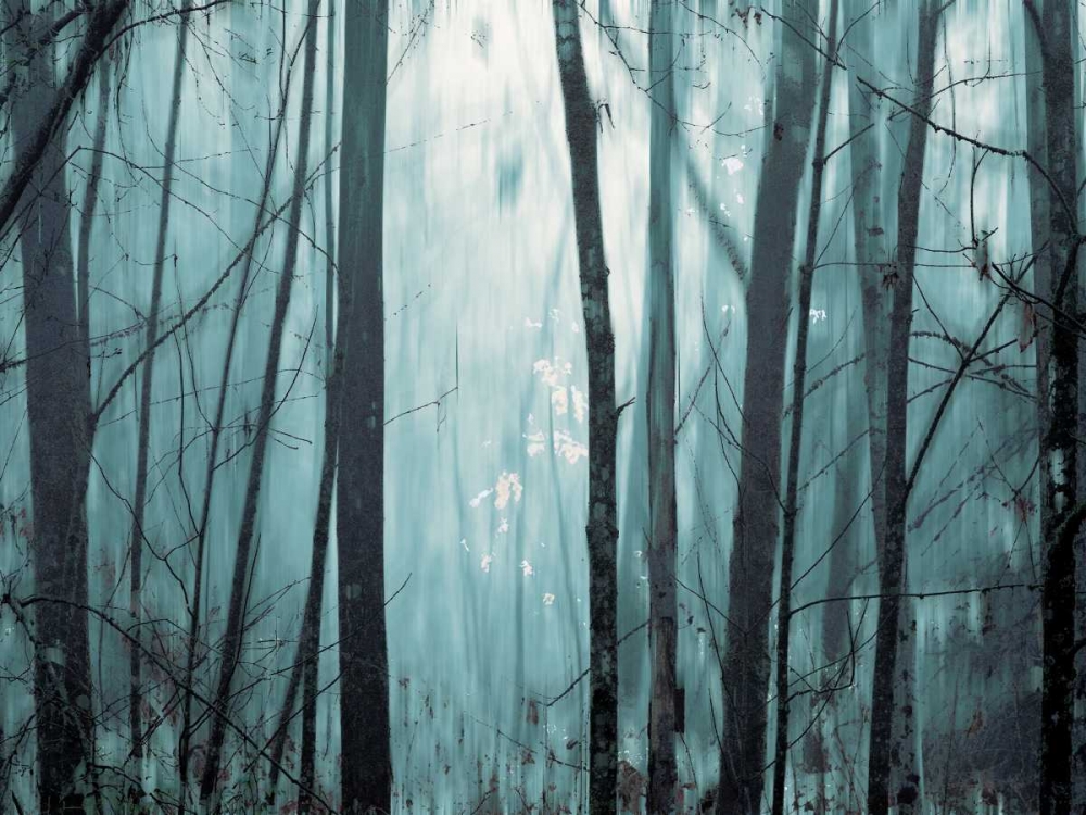 Spring Mist I art print by Marvin Pelkey for $57.95 CAD