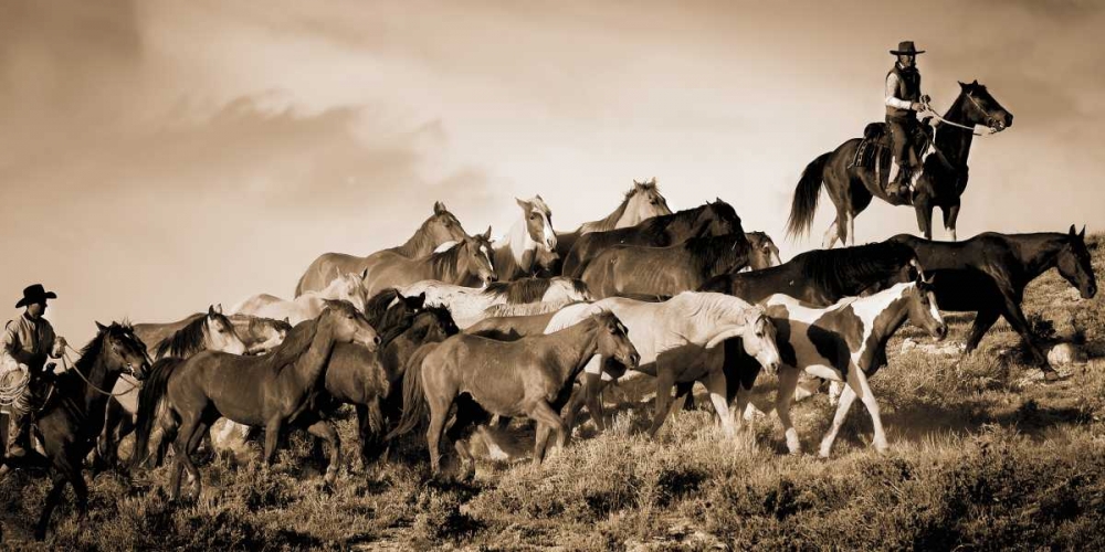 Gathering The Herd art print by Wendy Caro for $57.95 CAD