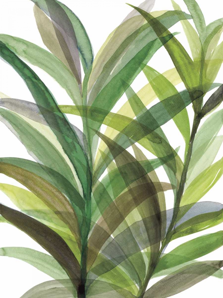 Tropical Greens II art print by Rebecca Meyers for $57.95 CAD