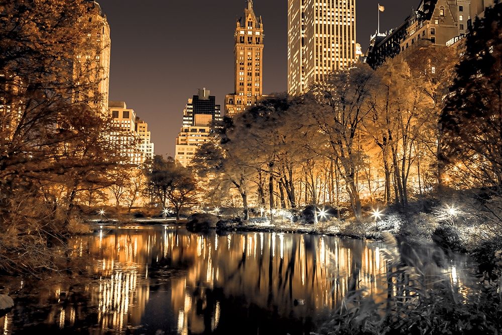 Central Park Glow art print by Assaf Frank for $57.95 CAD