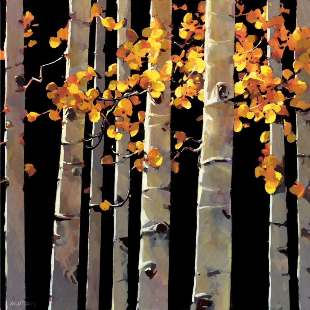 Aspen Grove art print by Michael OToole for $57.95 CAD