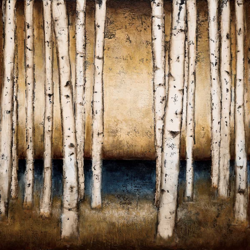 Birch Landing art print by Patrick St.Germain for $57.95 CAD