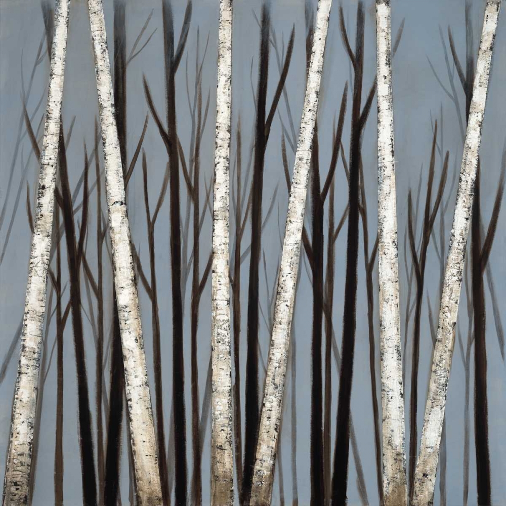 Birch Shadows art print by EVE for $57.95 CAD