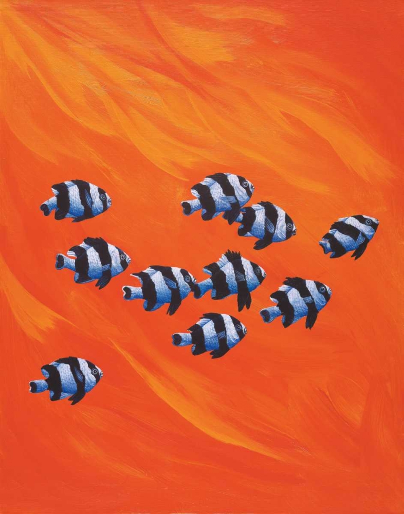 10 Black-Tailed Humbugs art print by Keith Siddle for $57.95 CAD