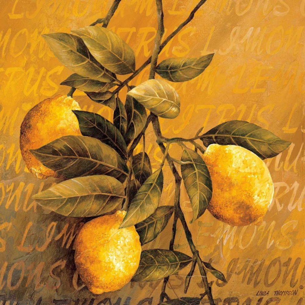 Lemon Branch art print by Linda Thompson for $57.95 CAD