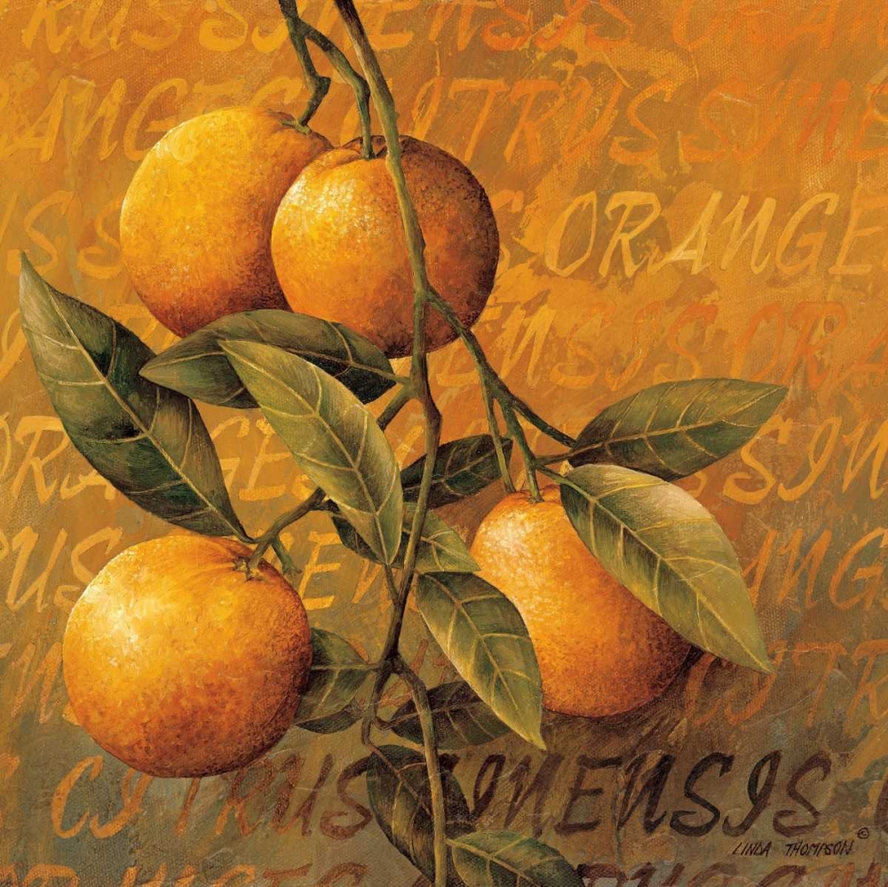 Orange Branch art print by Linda Thompson for $57.95 CAD