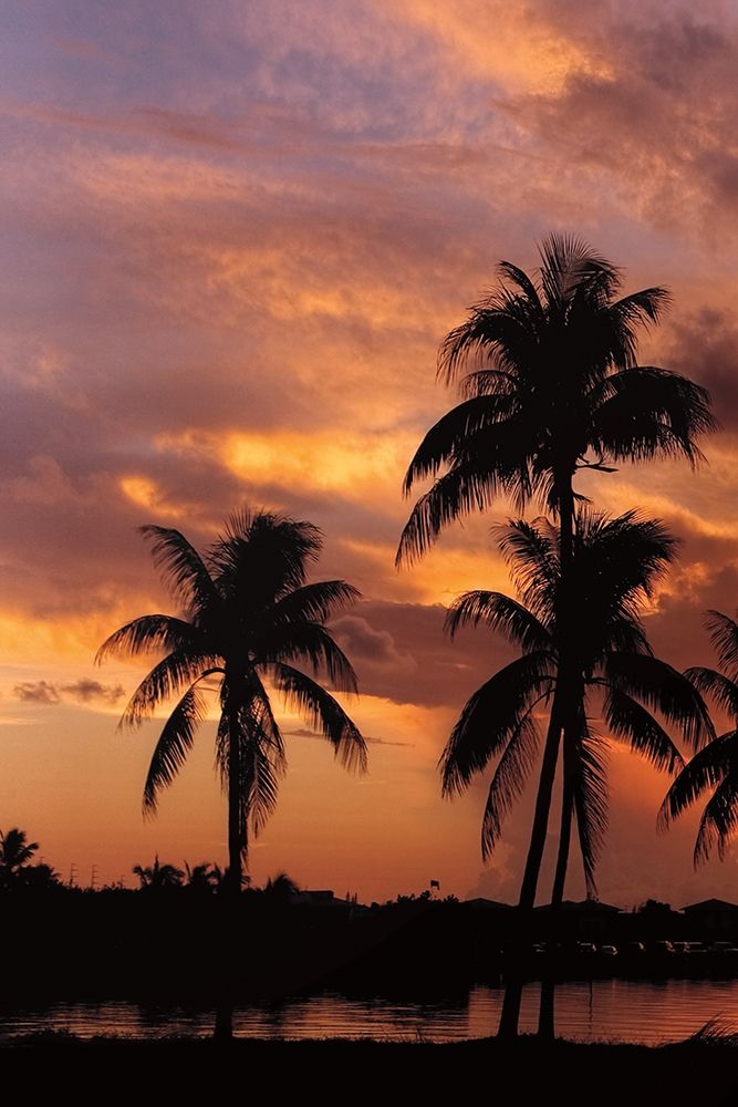 Tropical Sunsets A art print by Mike Jones for $57.95 CAD