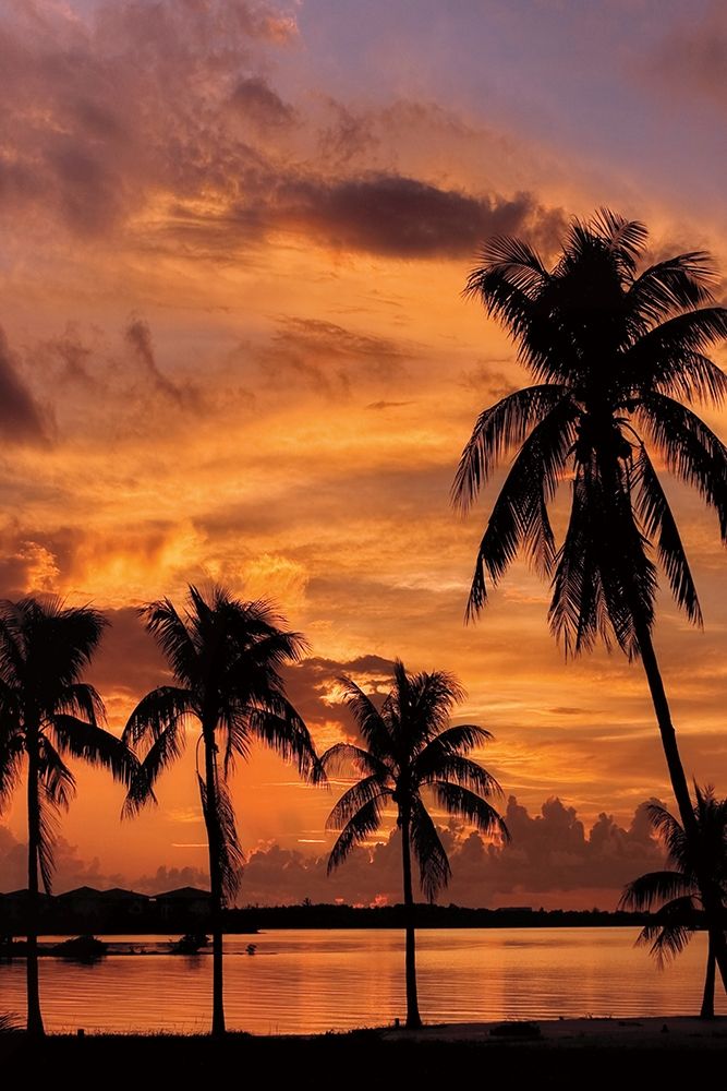 Tropical Sunsets B art print by Mike Jones for $57.95 CAD