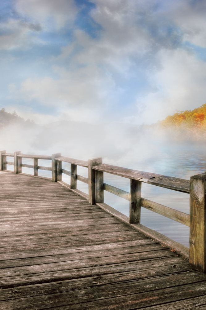 Dancing Fog at the Lake art print by Celebrate Life Gallery for $57.95 CAD