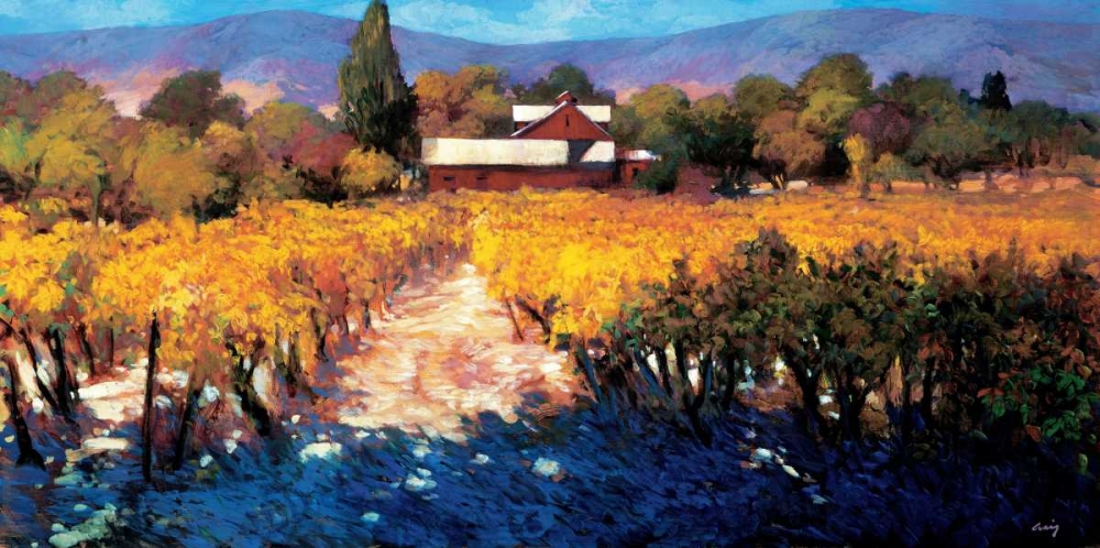 Vineyard Afternoon art print by Philip Craig for $57.95 CAD