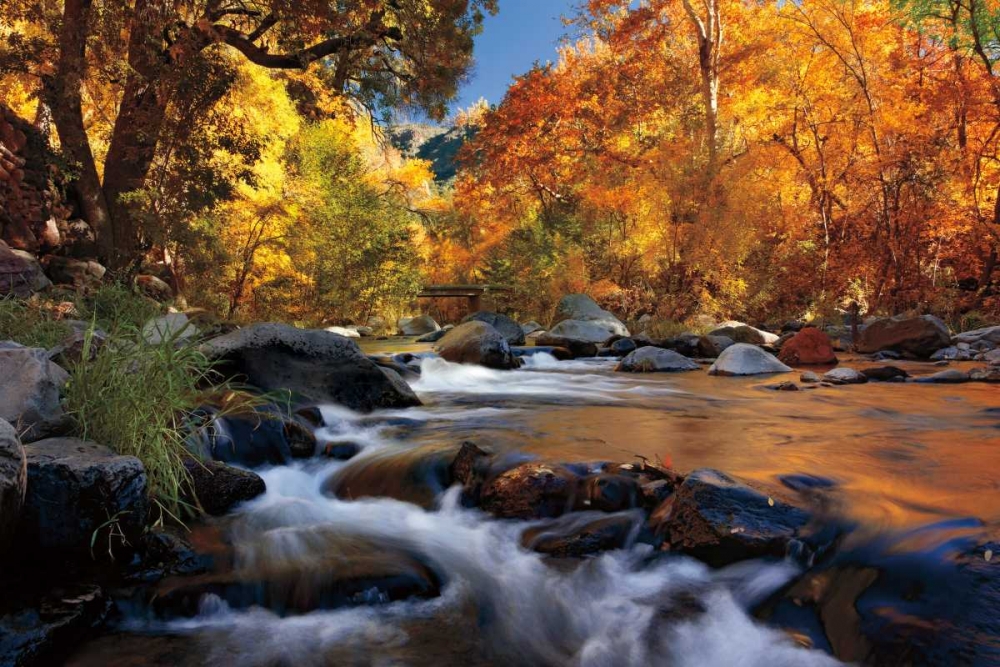 River of Gold art print by Mike Jones for $57.95 CAD