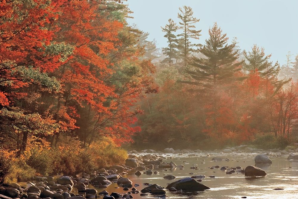 Foggy River art print by Mike Jones for $57.95 CAD