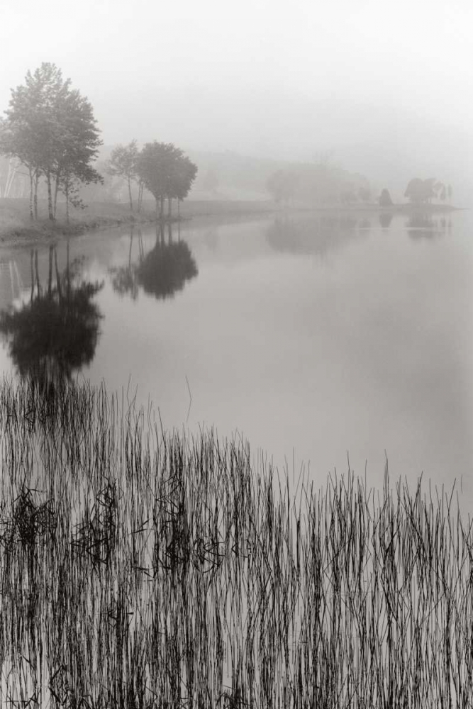 Lakeside Mist art print by Monte Nagler for $57.95 CAD