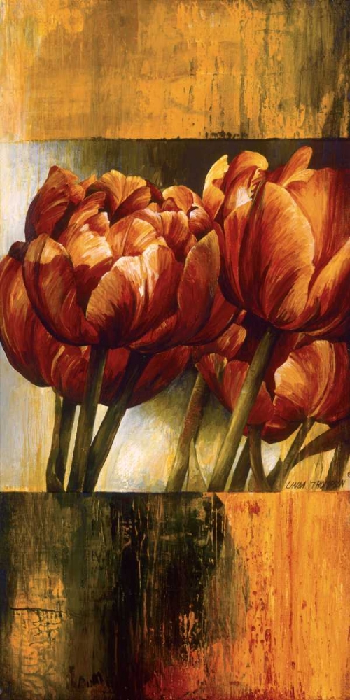 Floral Radiance I art print by Linda Thompson for $57.95 CAD