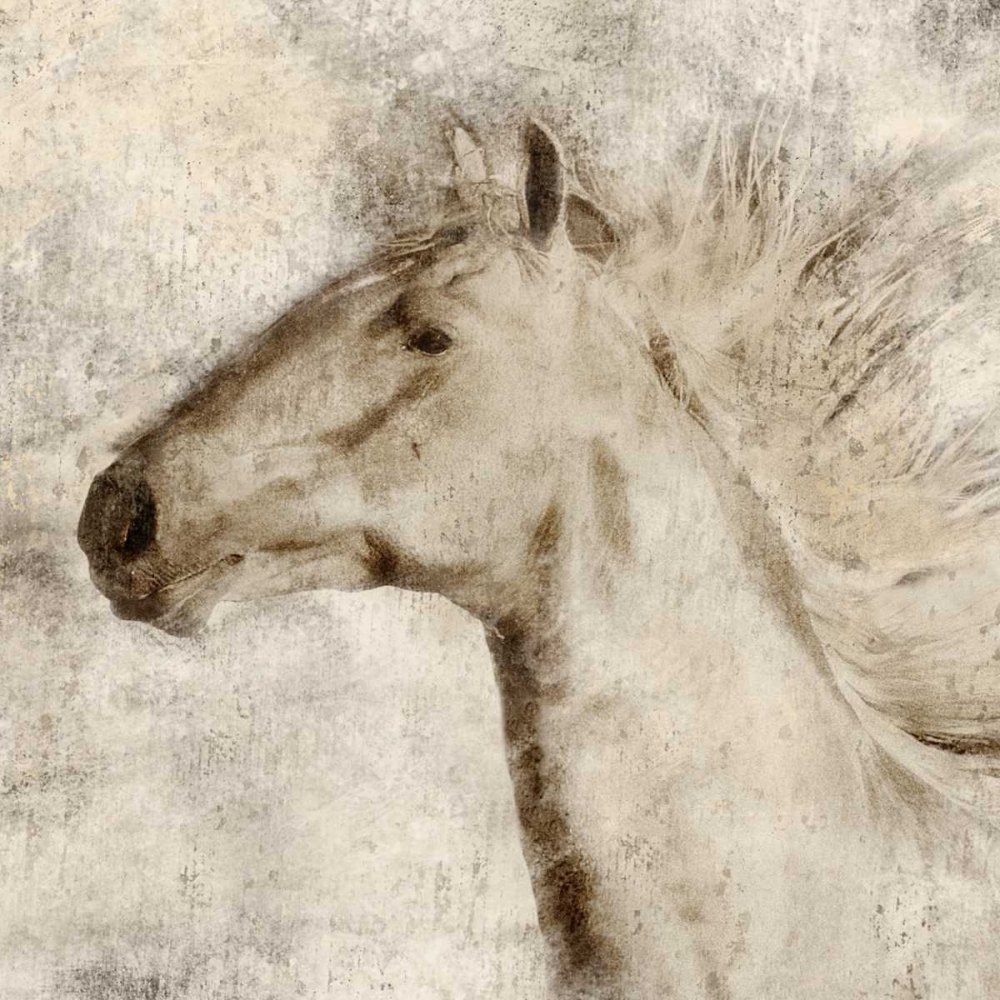 Stallion I art print by Janel Pahl for $57.95 CAD