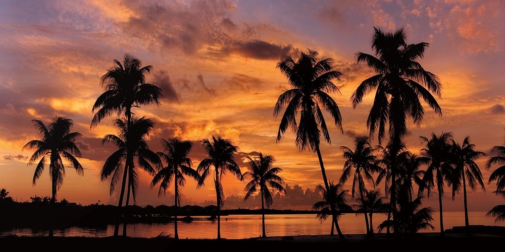 Tropical Sunsets I art print by Mike Jones for $57.95 CAD
