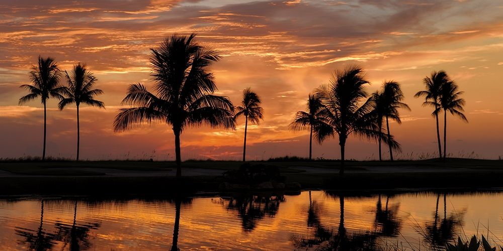 Tropical Sunsets II art print by Mike Jones for $57.95 CAD