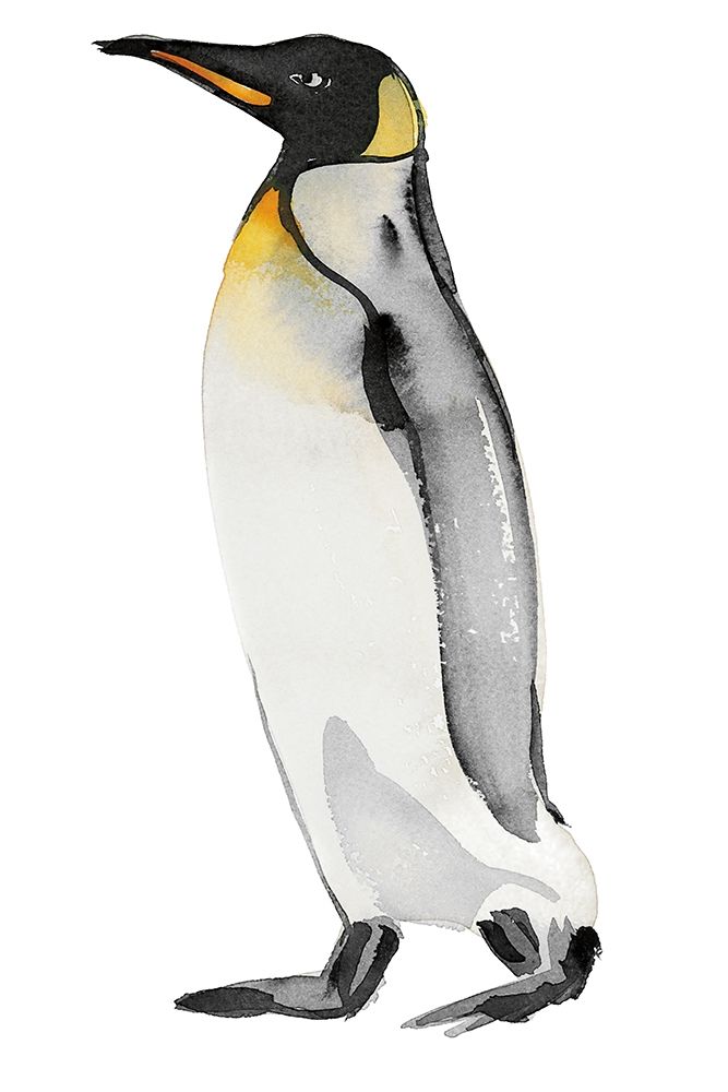 Penguin II art print by Marina Billinghurst for $57.95 CAD