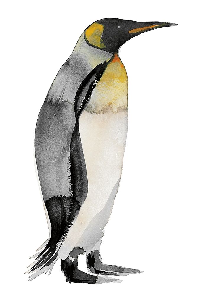 Penguin IV art print by Marina Billinghurst for $57.95 CAD