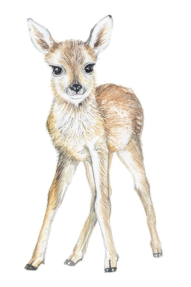 Baby Deer art print by Elena Markelova for $57.95 CAD